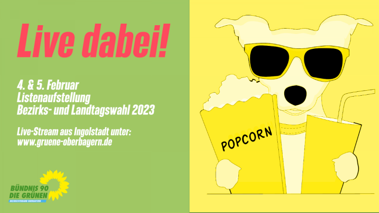 Live-Stream aus Ingolstadt